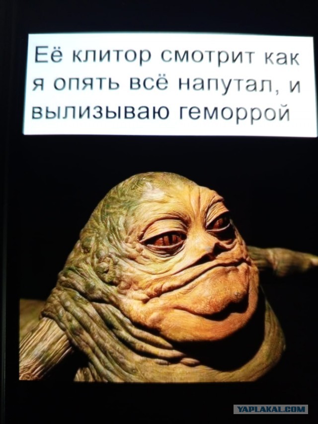 Пятничные 100м2 дичи