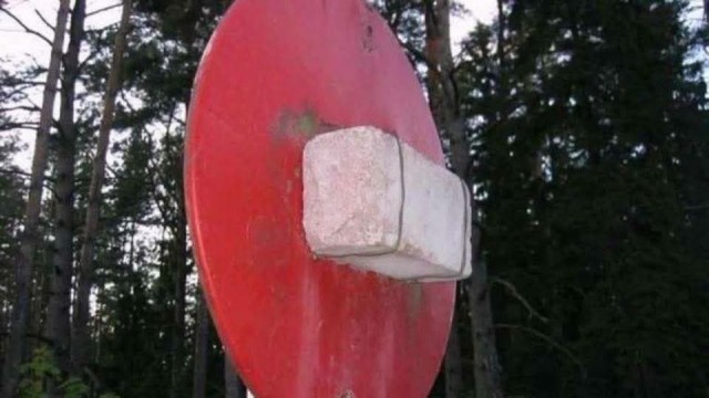 Суровая жисть