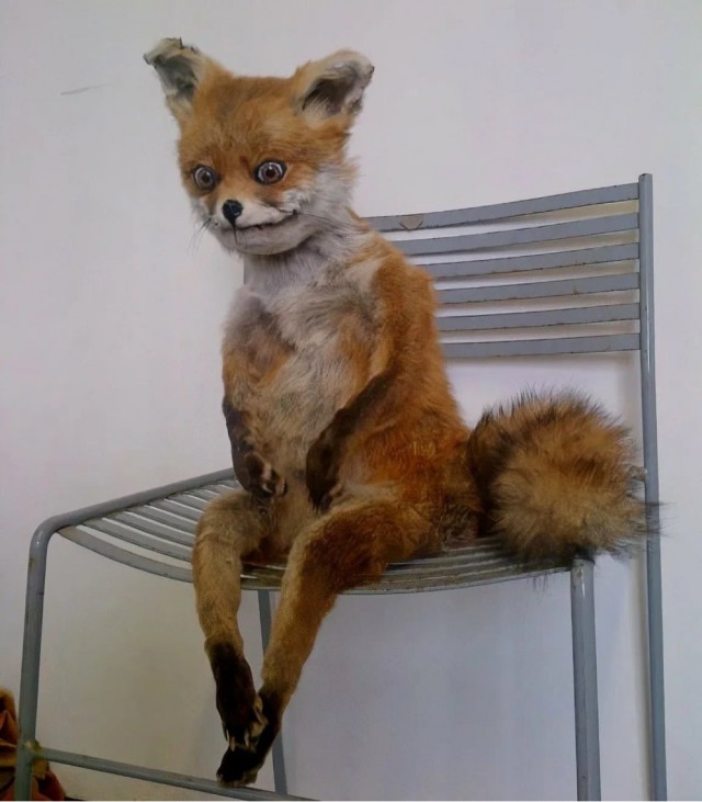 А админы могут замутить инк для упоротых?