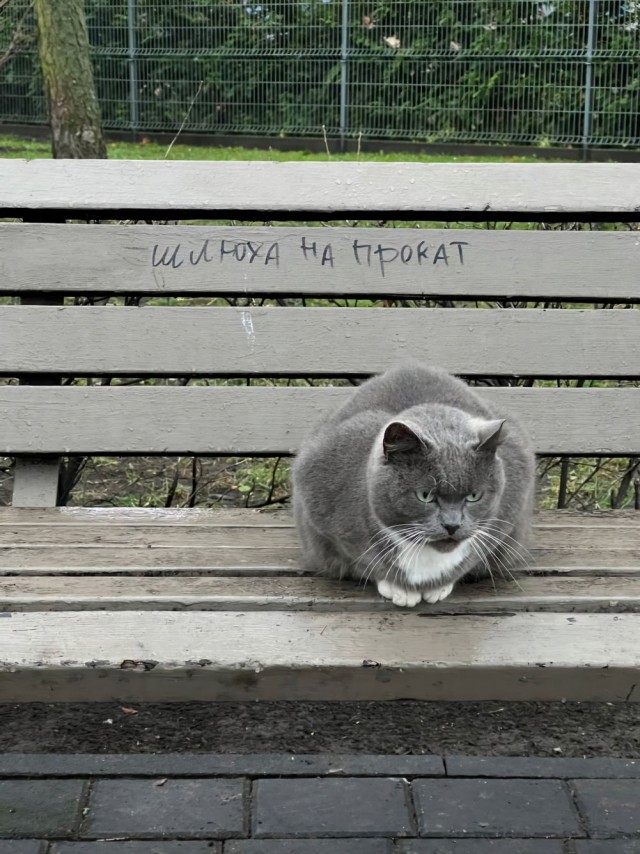 *зачёркнуто*
