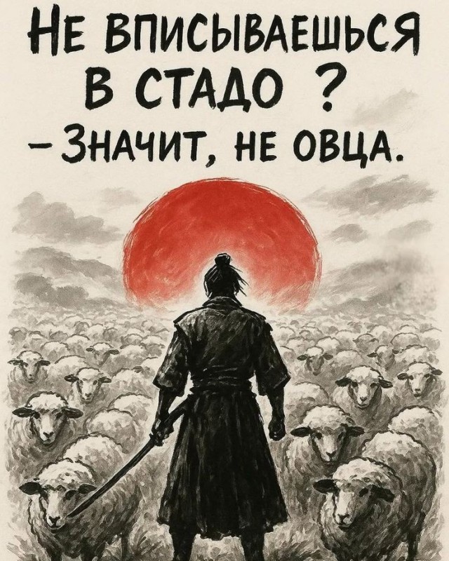 Прикольные и просто красивые картинки 26.06.2026