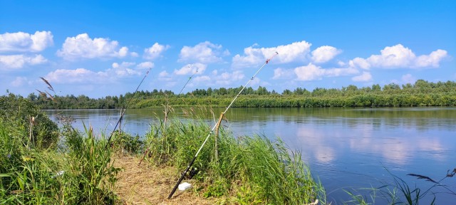 Воскресенье день рыбалки.