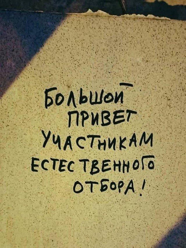 Картинки для деградации 292 (разной степени свежести)