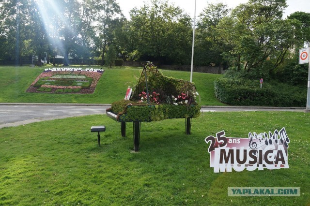 Поездка в Швейцарию