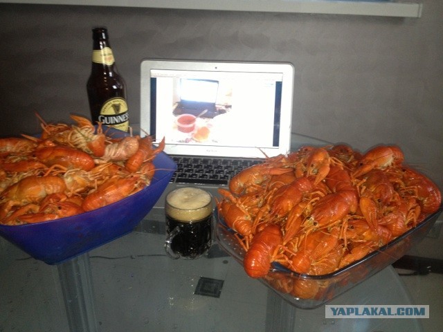 В отместку ТС))