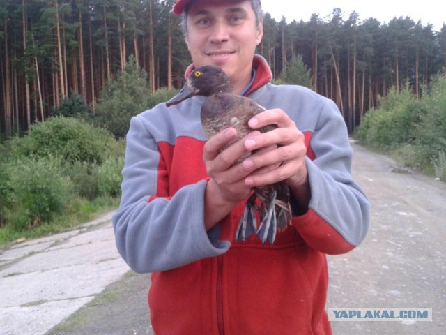 Лето. Кама. Фидер.