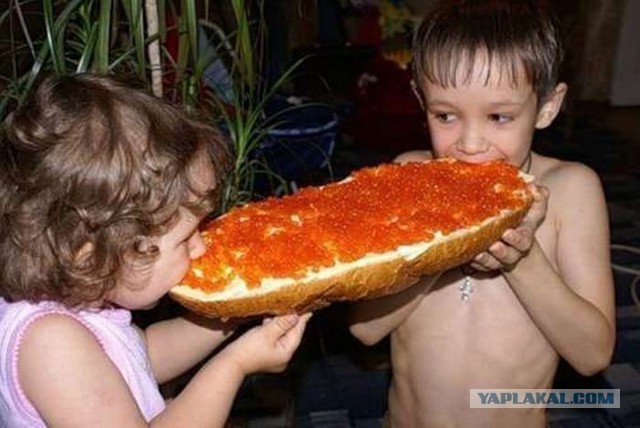 Жадности пост