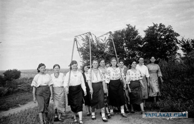 Быт украинского села начала 50-х годов