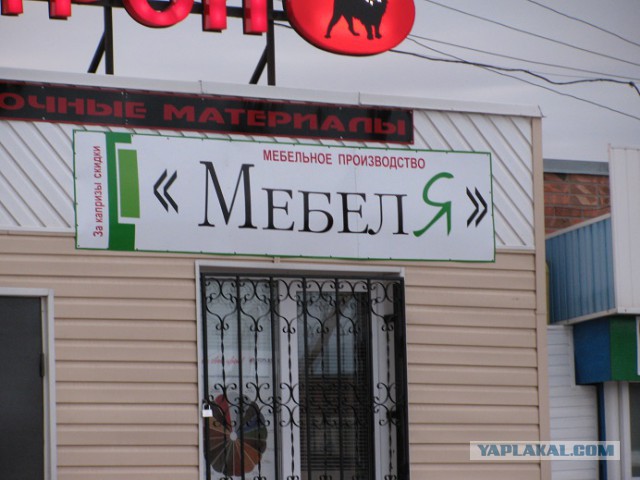 Маразмы месяца