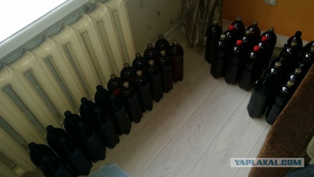 Домашнее пиво из концентрата (моя версия)