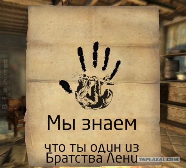 Картинки из инета