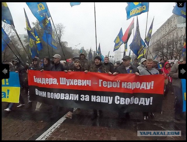 Собаке-собачья смерть