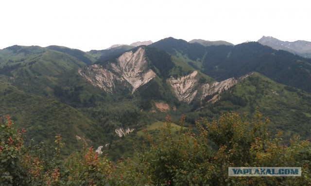 Забавный Казахстан.