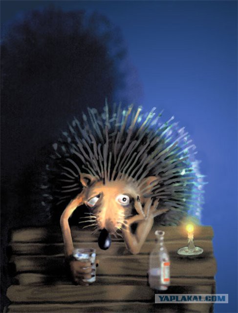 Весёлые гиф