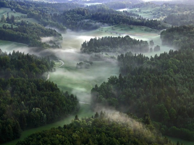 Подборка интересных и веселых фото