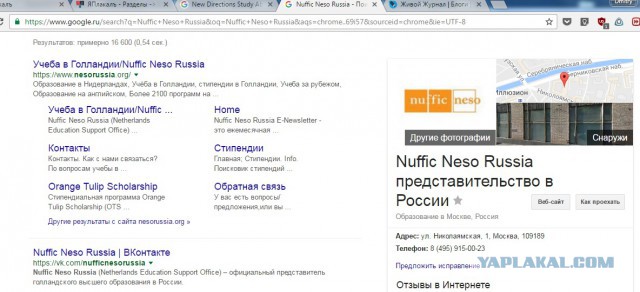 Они приехали в Россию впервые. Ожидания vs Реальность