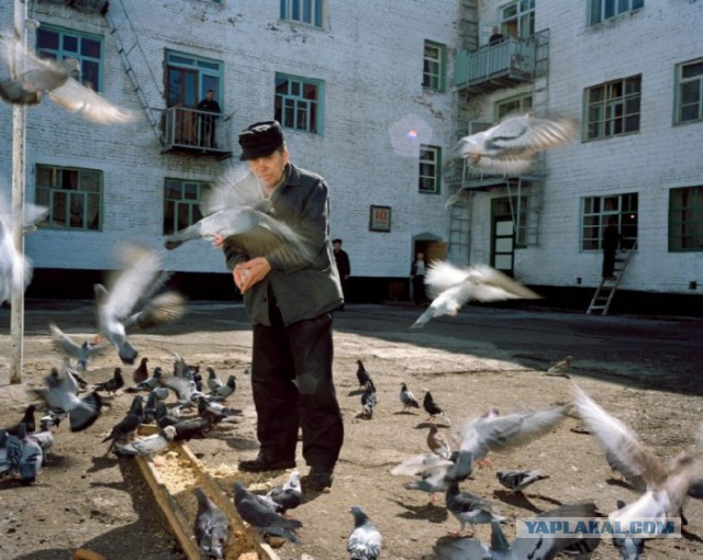 Карл де Кейзер. «Зона» / Zona (2000—2001)