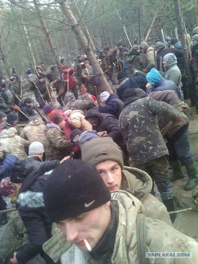 Копают все: на севере Украины продолжается янтарная лихорадка