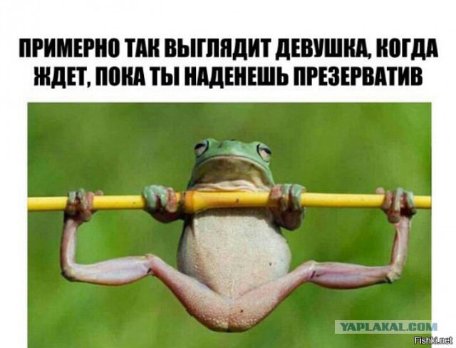 Картинки разнобезобразные, юмор спецефический