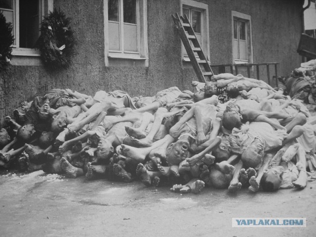 День Национального траура в Германии. Школьник из ЯНАО рассказал в бундестаге о «невинных солдатах вермахта»