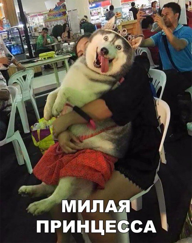 Нестандартный юмор