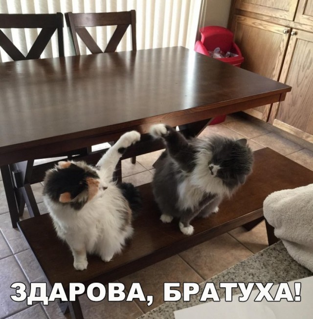 Немного картинок в эту субботу