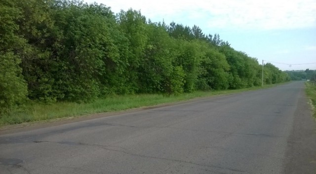 Продаётся дом в пригороде Оренбурга.