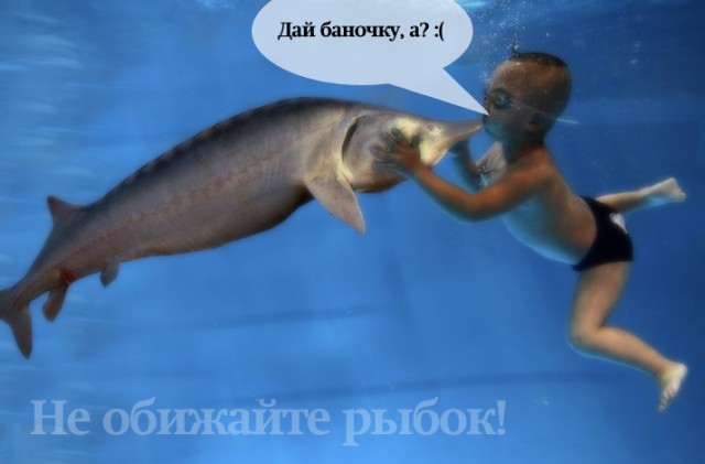 Конкурс на лучшую фотожабу против браконьеров.