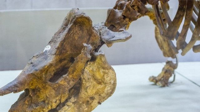 Самые необычные динозавры, которые жили в современной России