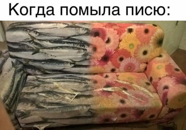 Бытие и сознание