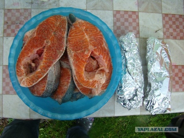 Вечер вторника - рыба и  мясо! (13 фото)