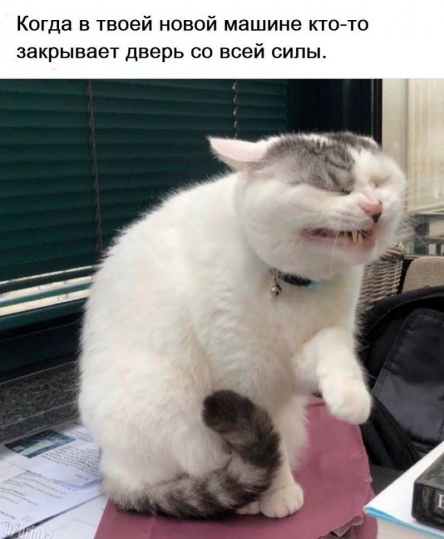 Немного картинок для настроения 11.03.20
