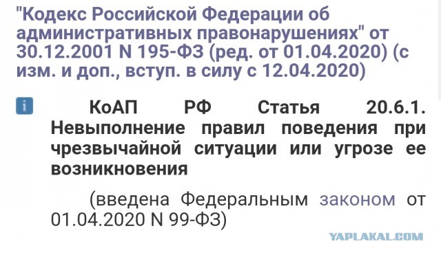 Теперь штрафы за прогулку без собаки стали законными