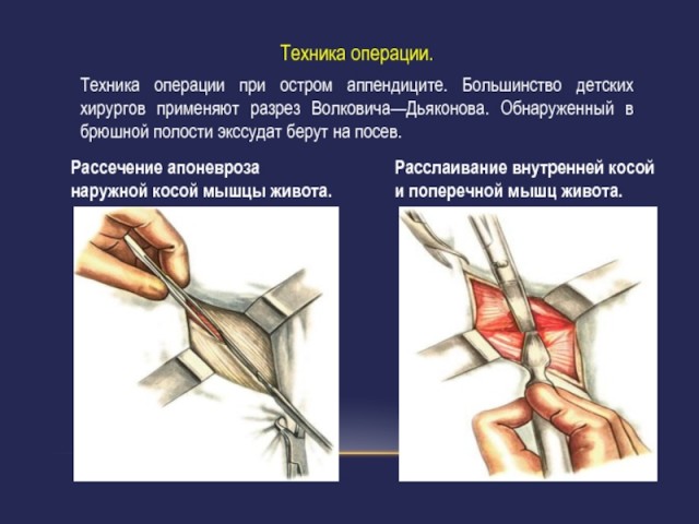Эти медицинские шпаргалки подскажут, научат и удивят