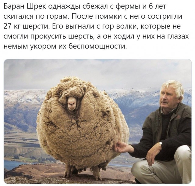 От светло серого до чёрного 4.0