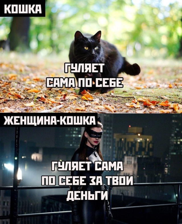 Весёлый полтишок 11.09