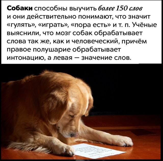 Занимательные факты о разном