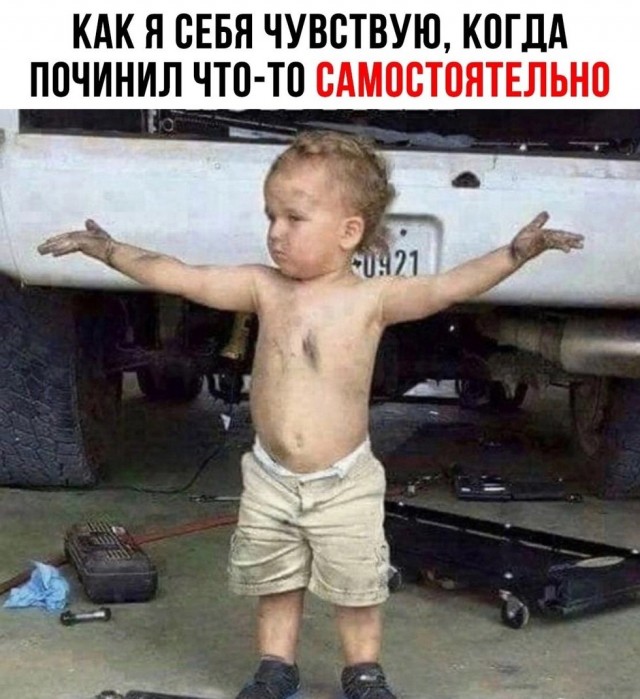 Дурацкие картинки