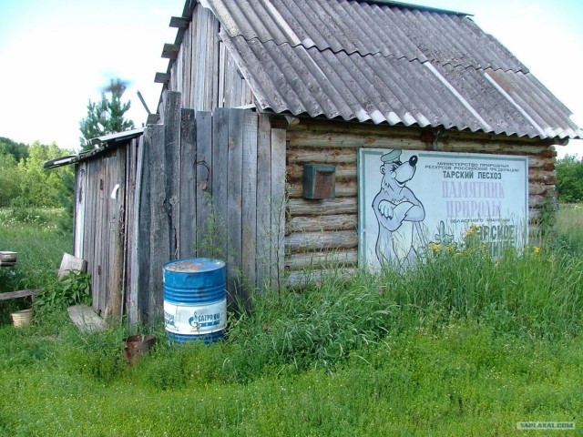 Тайга на двоих