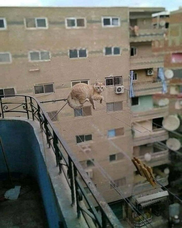 Картинки с перчинкой