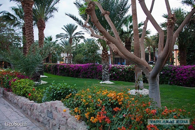 Синайские приключения. Шарм-эш-Шейх и окресности