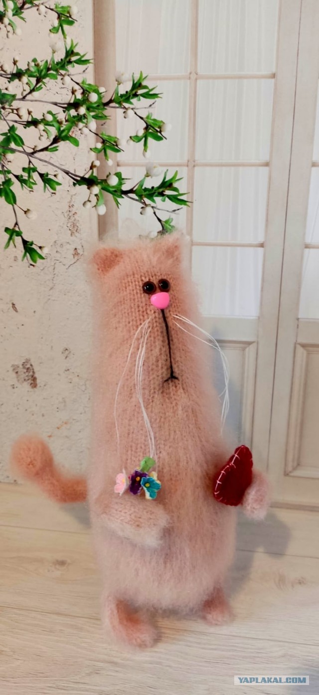 Реально ШЕРСТЯНОЙ котовторник!