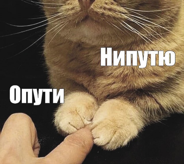 Вот мы какие красивые!