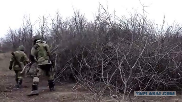 В ДНР сообщили, что артиллерия уничтожила группу националистов под Нью-Йорком