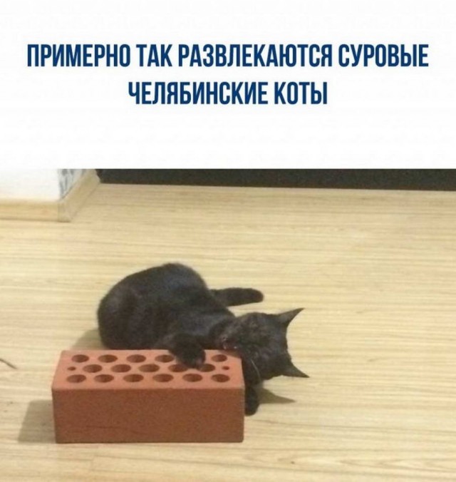 Картинки и мемы. Выходные близко...