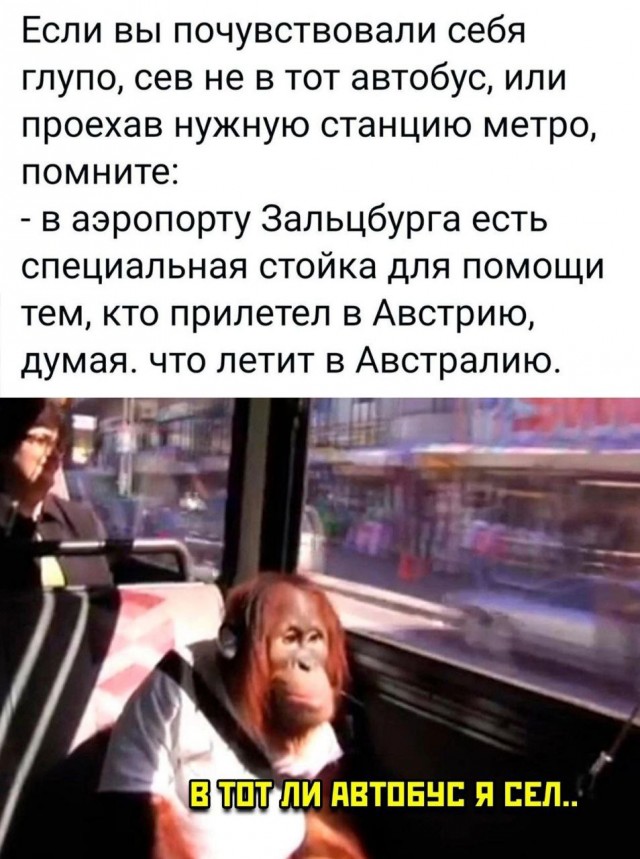 Так себе картинки 08.05.23