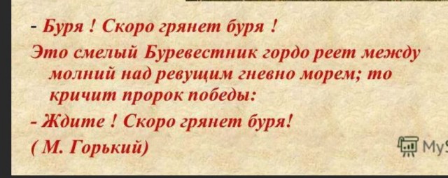 Победная поступь идиотизма по планете – том 14