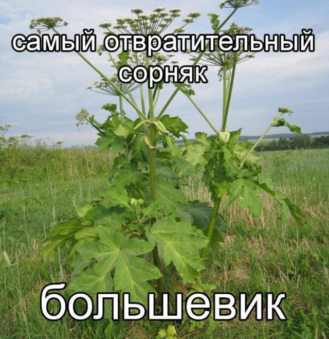 Всего понемногу. От 31.07.23