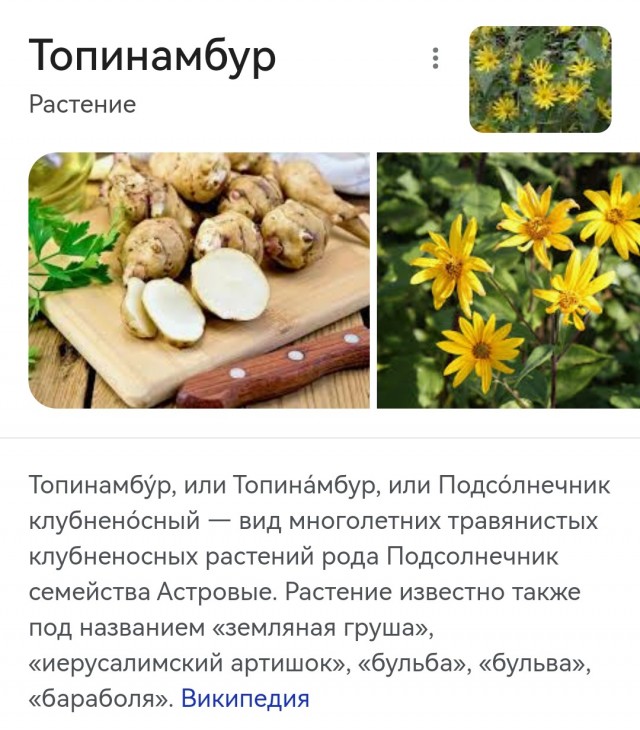 Ничё такое меню
