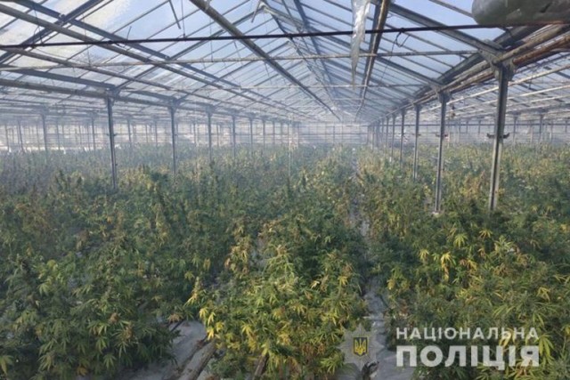 "Ну нет работы в нашей деревне. Я и придумал себе занятие. Ремесло не хитрое, но кормит хорошо"